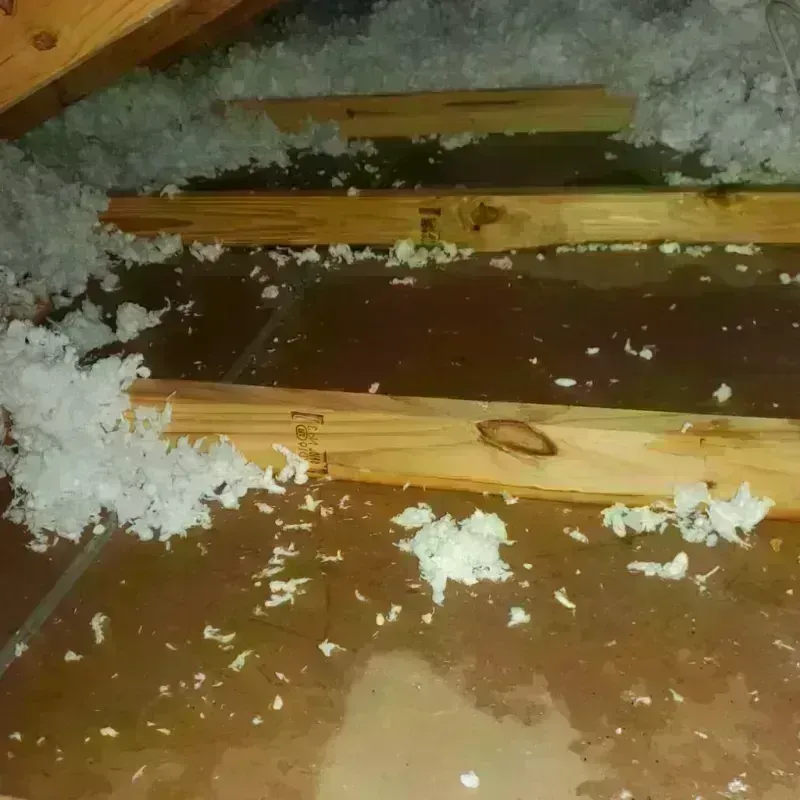 Attic Water Damage in Rockwell City, IA